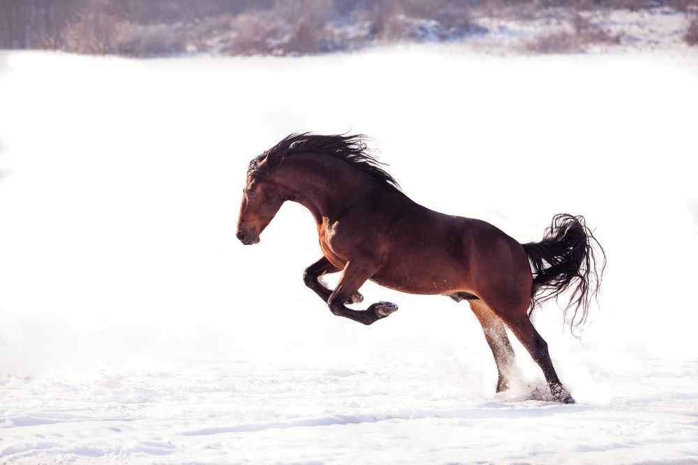 Photograph by Mihai Romeo Bogdan