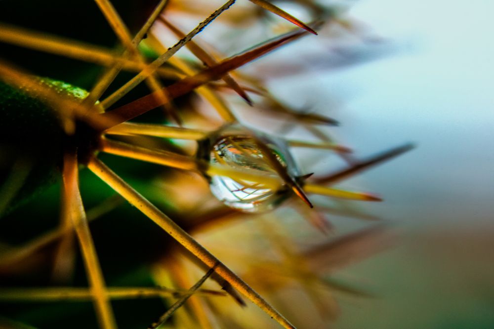 Фотография автора Cavalcante Pinheiro Filho José Flávio