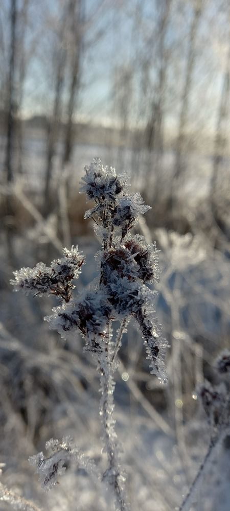 Photograph by Вероника Яшина