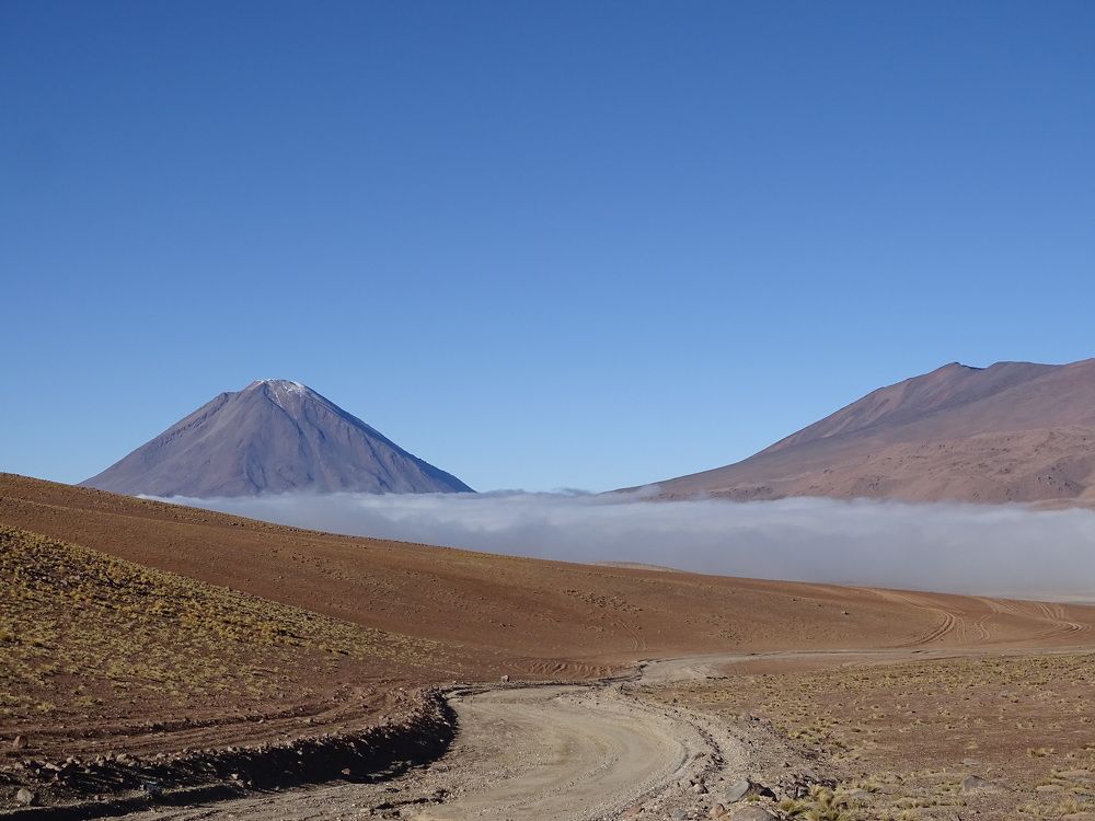 Photograph by Эльвира