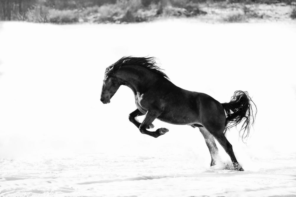 Photograph by Mihai Romeo Bogdan