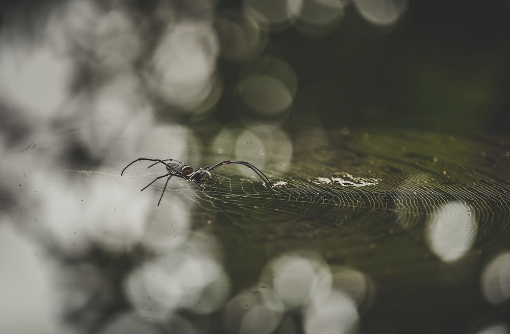 Photograph by Pavel Khon