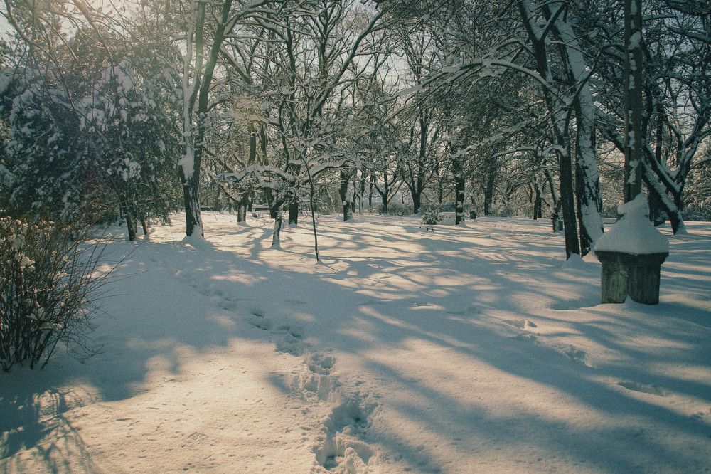 Photograph by Ефимова Анна