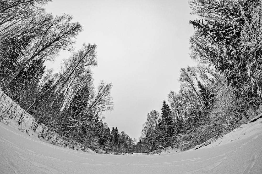 Photograph by Андрей Л