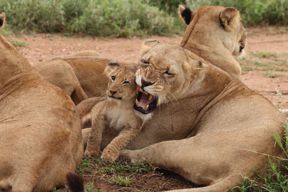 Photograph by ELVIRA LUNEVA