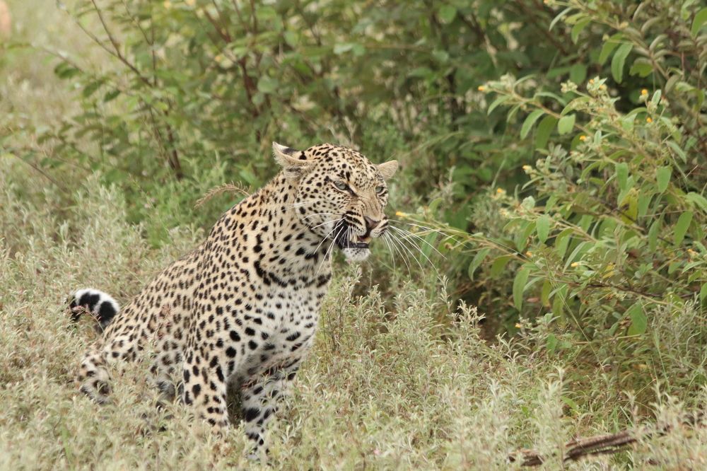 Photograph by ELVIRA LUNEVA