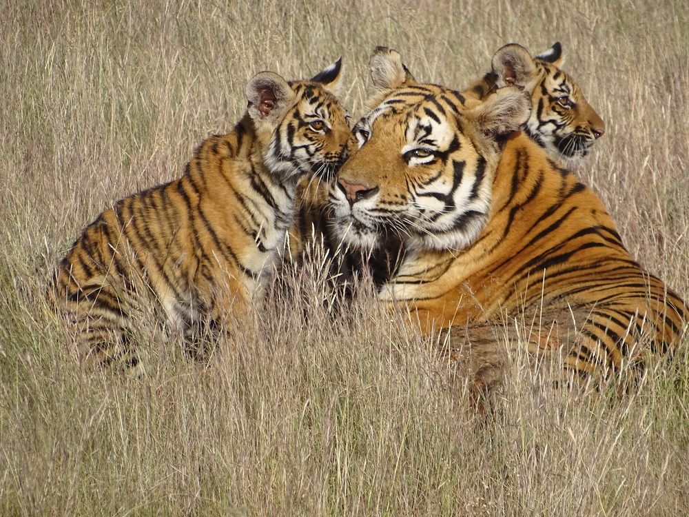 Photograph by ELVIRA LUNEVA