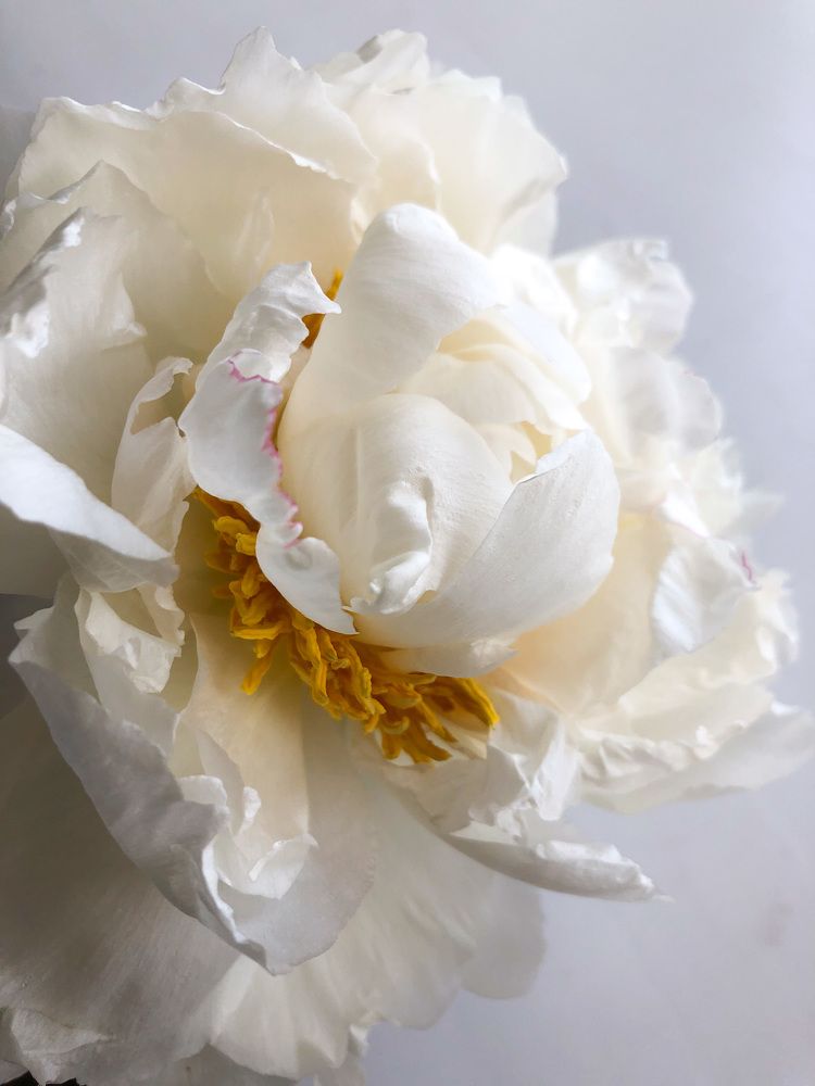 Photograph by Марина