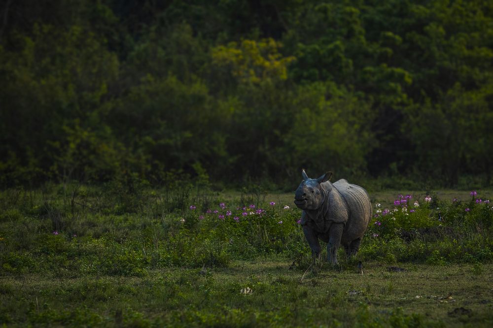 Photograph by Ajay A D