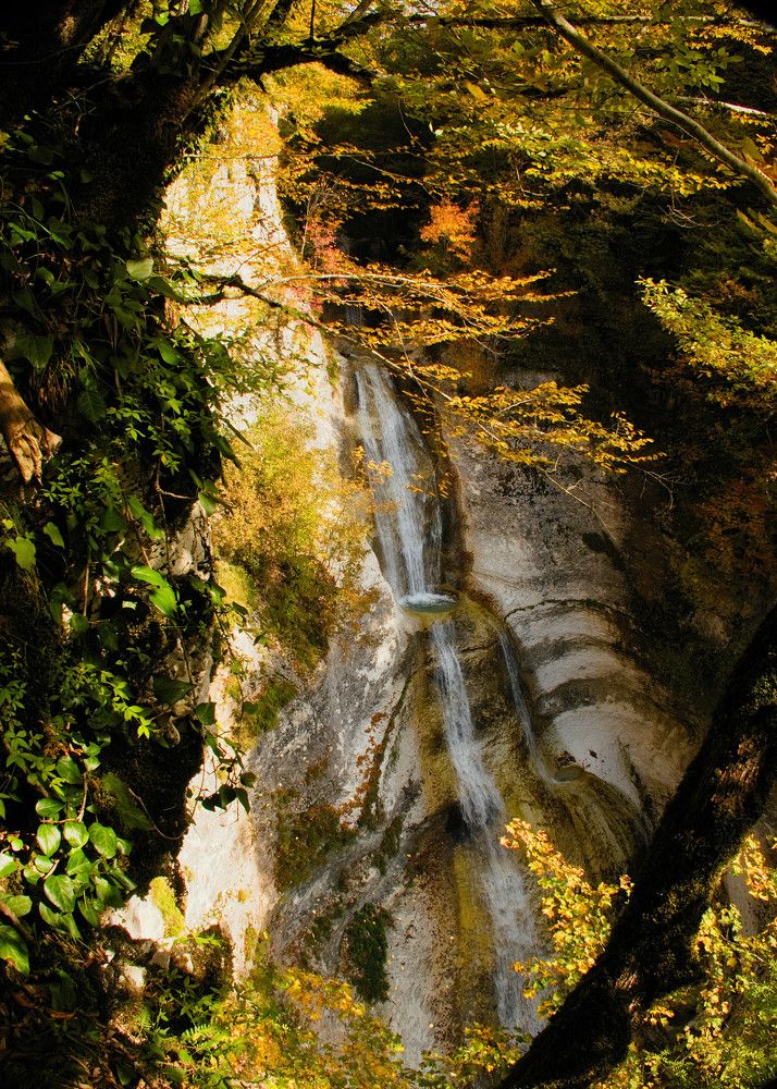 Фотография автора Александр Стоялов