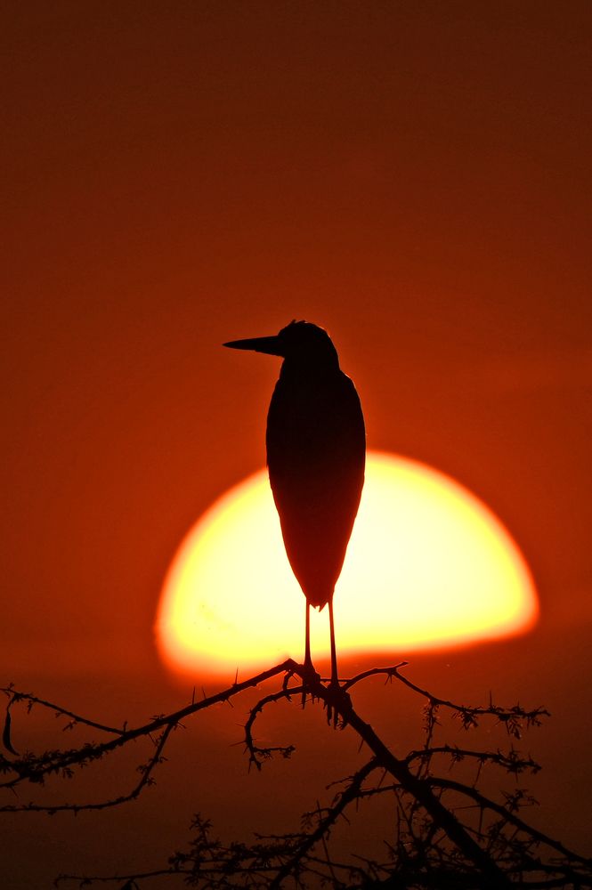 Photograph by Yuwaraj Gurjar