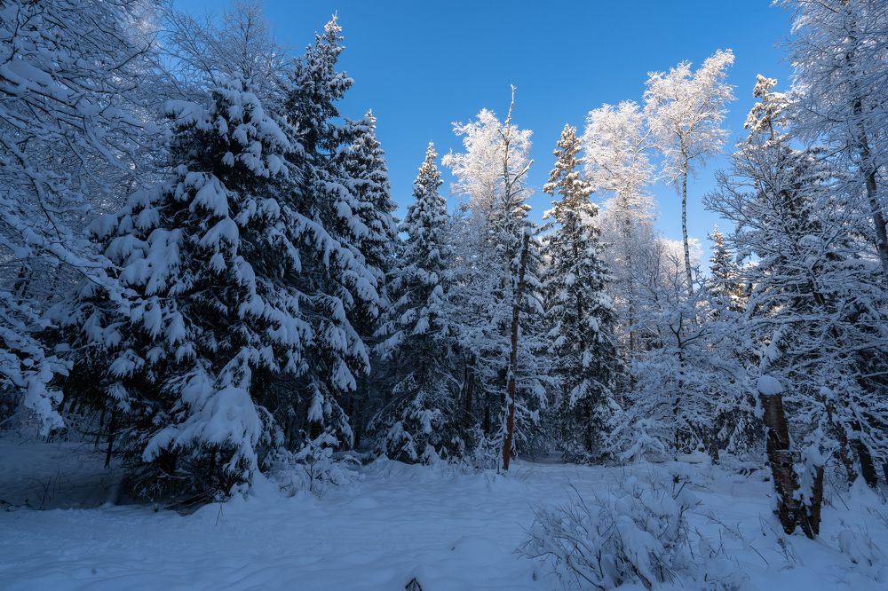 Photograph by Баландин Дмитрий