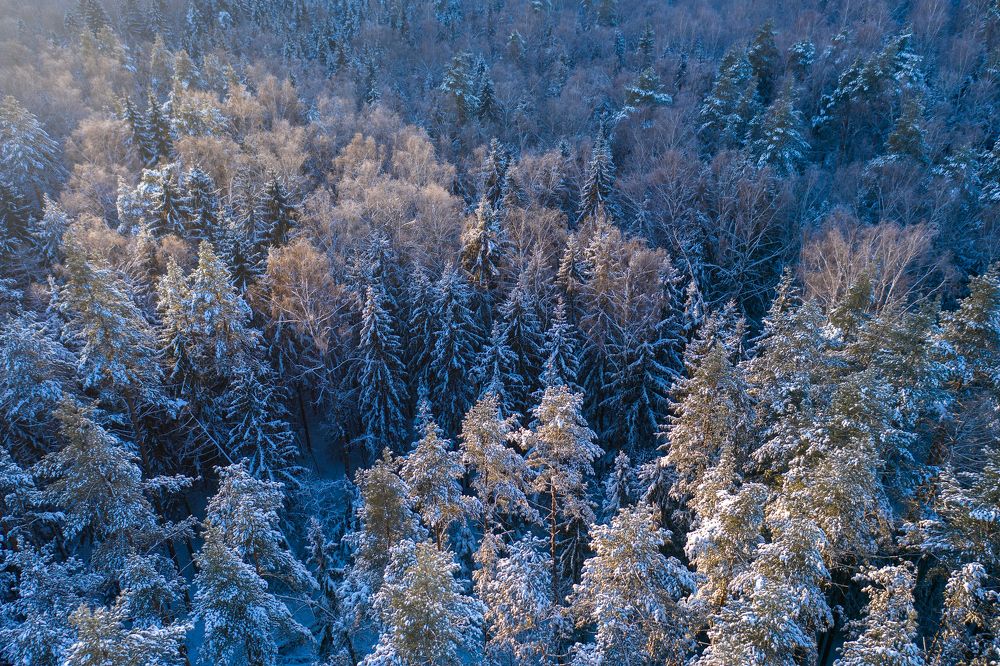 Photograph by Баландин Дмитрий