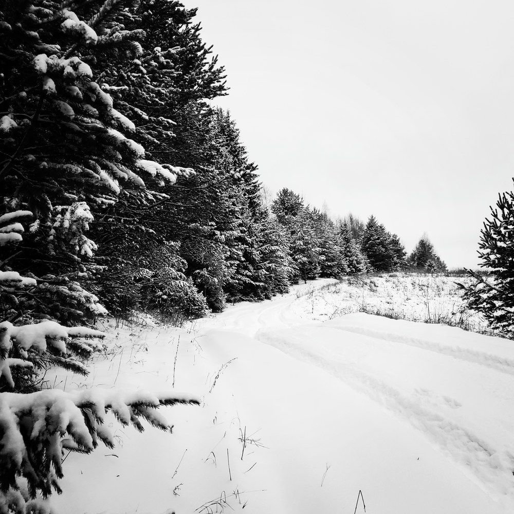 Photograph by Наталья Светлова