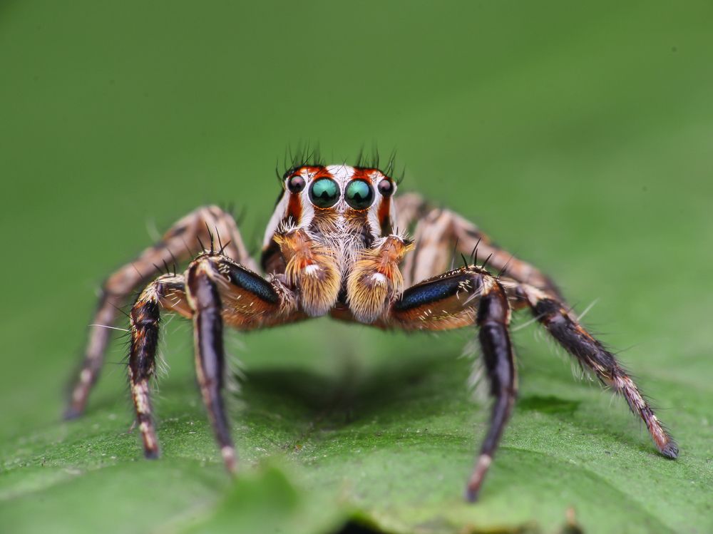 Photograph by Bidyut Kalita