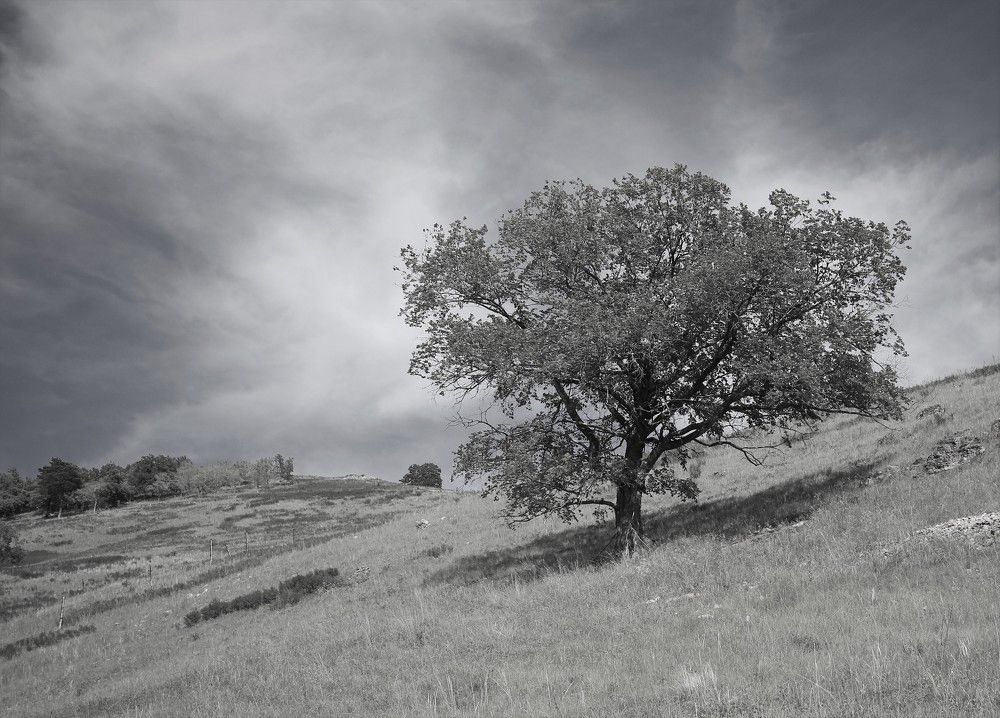 Photograph by Марина Юрченко