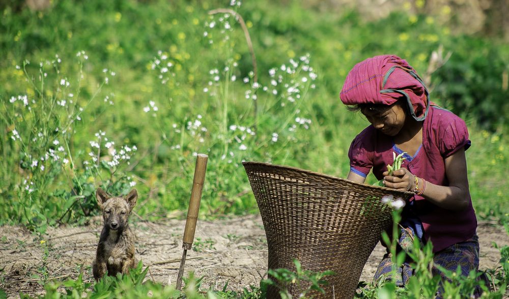 Photograph by Ibnul Hasan