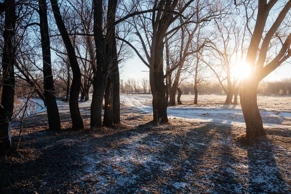 Photograph by Айрат Миназев