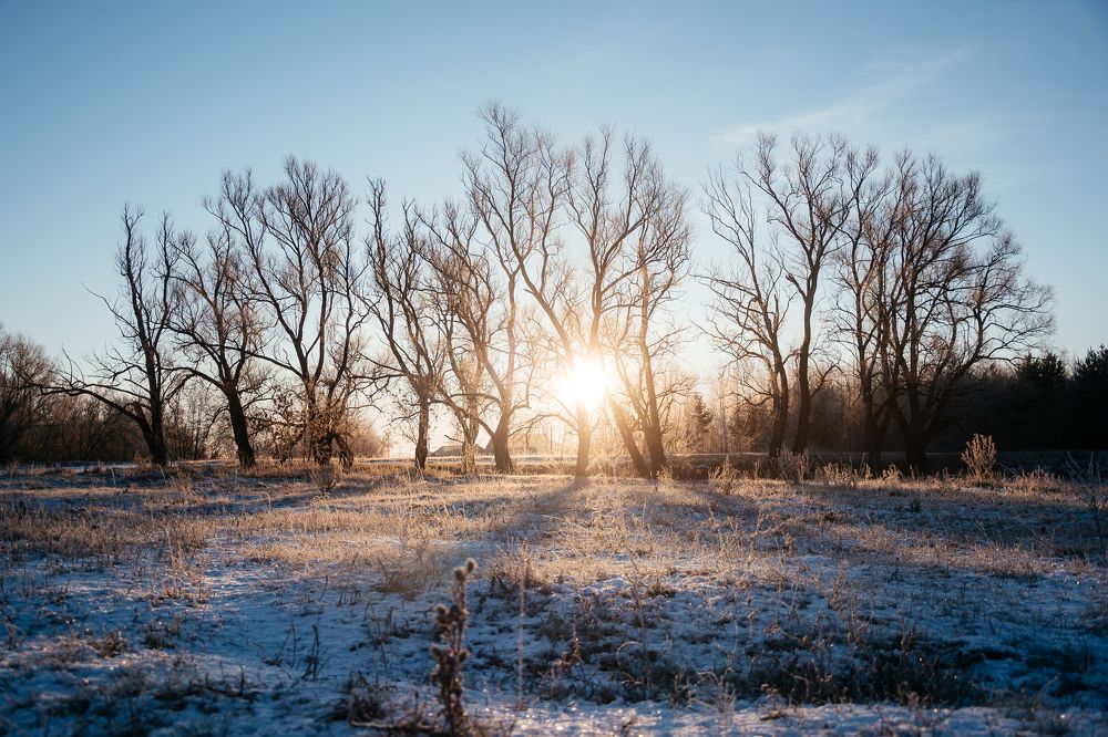 Photograph by Айрат Миназев