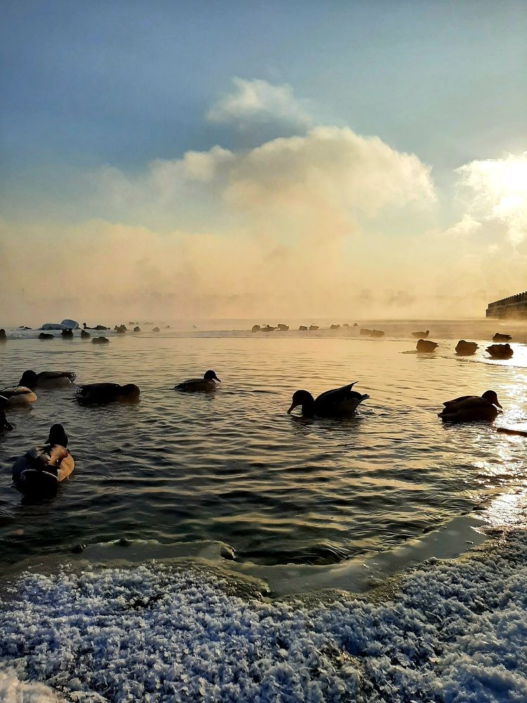 Photograph by Наталия Смирнова