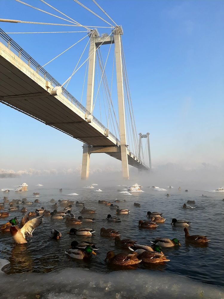 Photograph by Наталия Смирнова