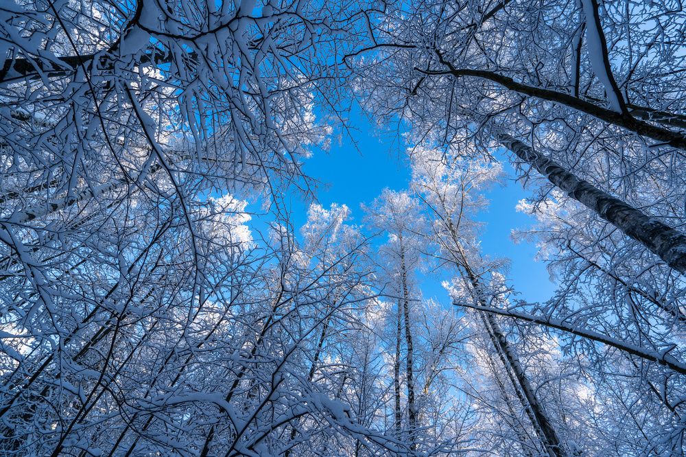 Photograph by Баландин Дмитрий