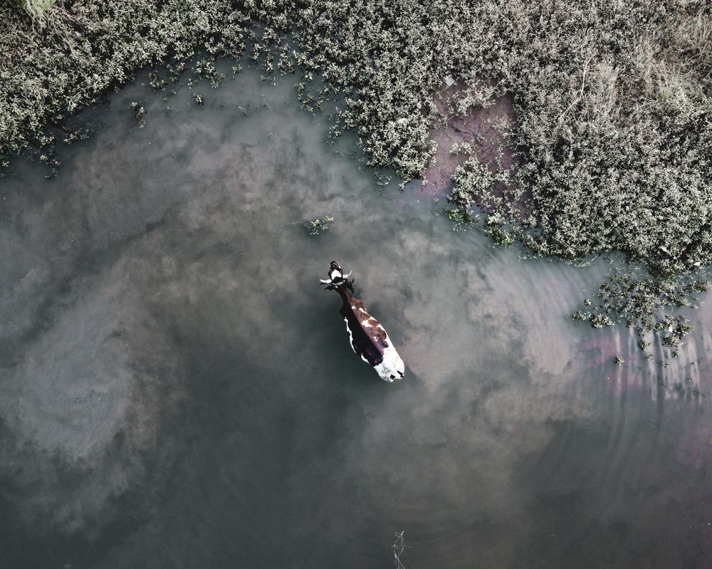 Photograph by Rahul Patil