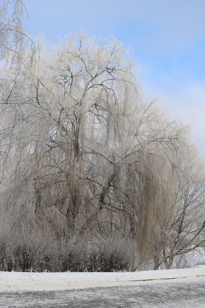 Photograph by Надежда Зайцева