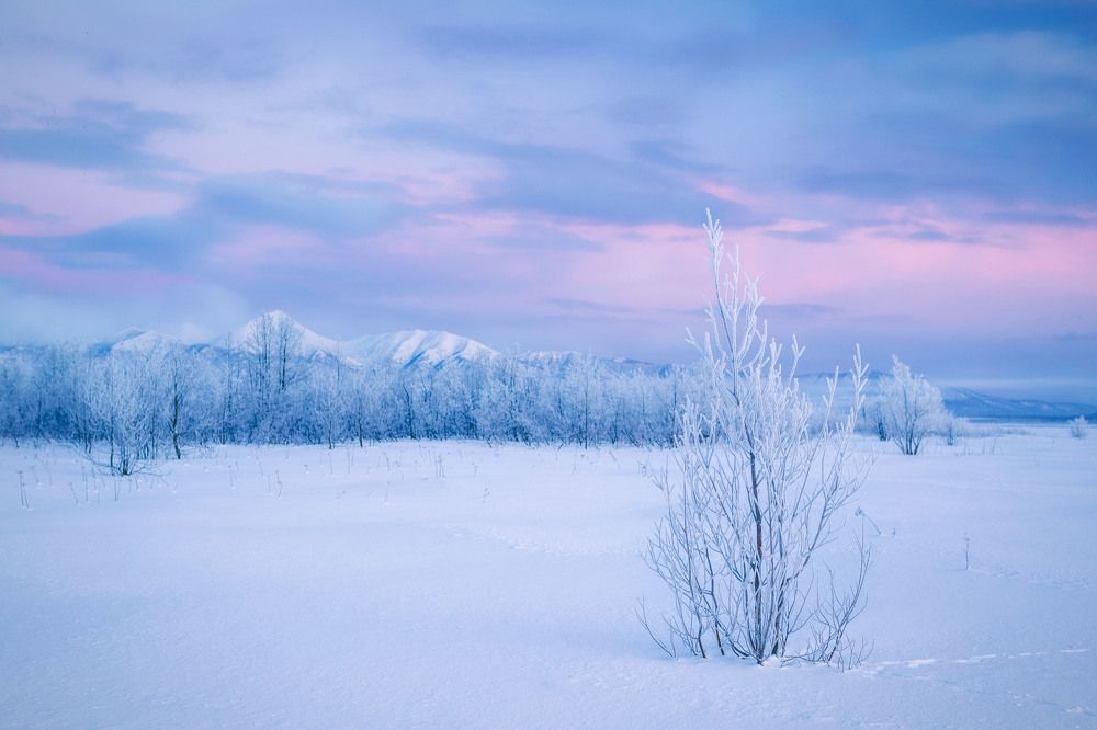 Photograph by Olga Yarovenko