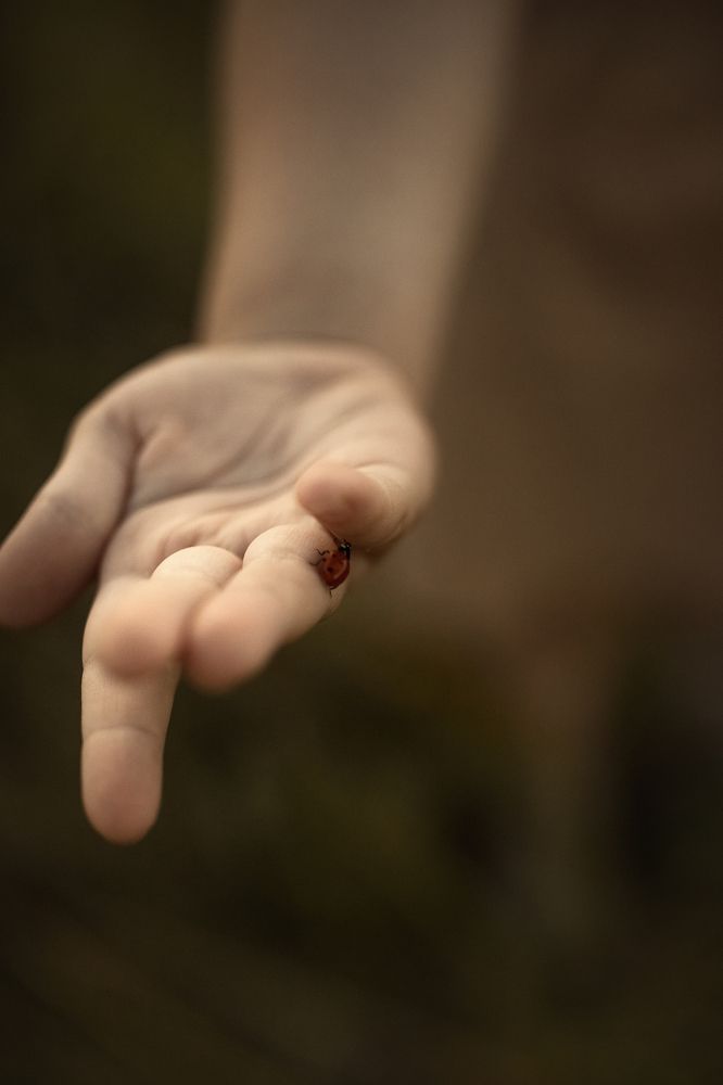 Знакомство...