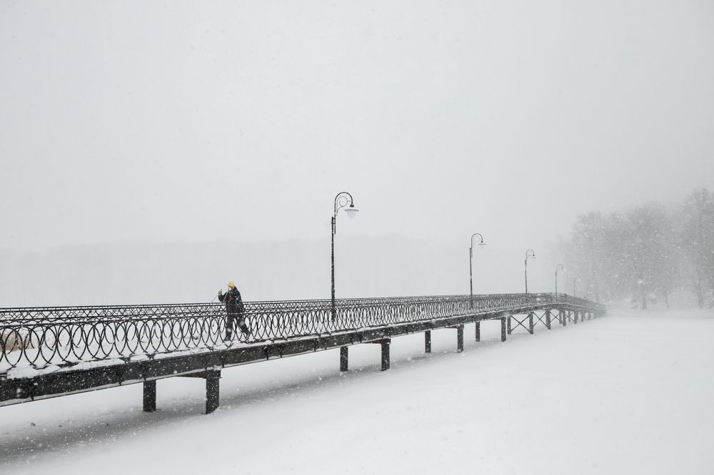 Метель/Snowstorm