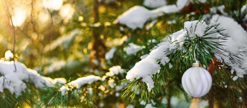 Photograph by Andrey