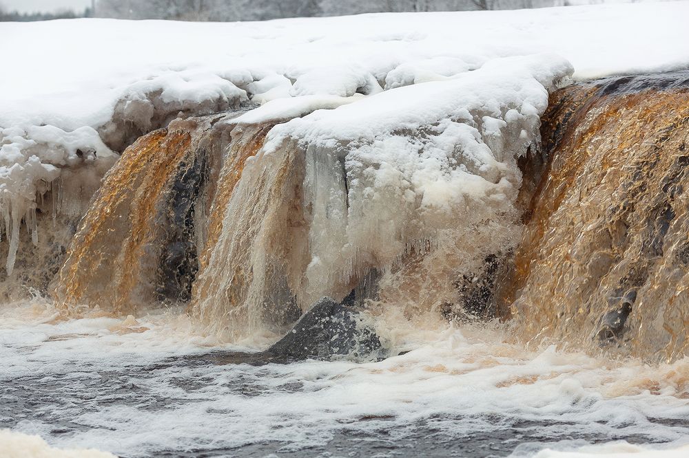 Photograph by Чистякова Валерия