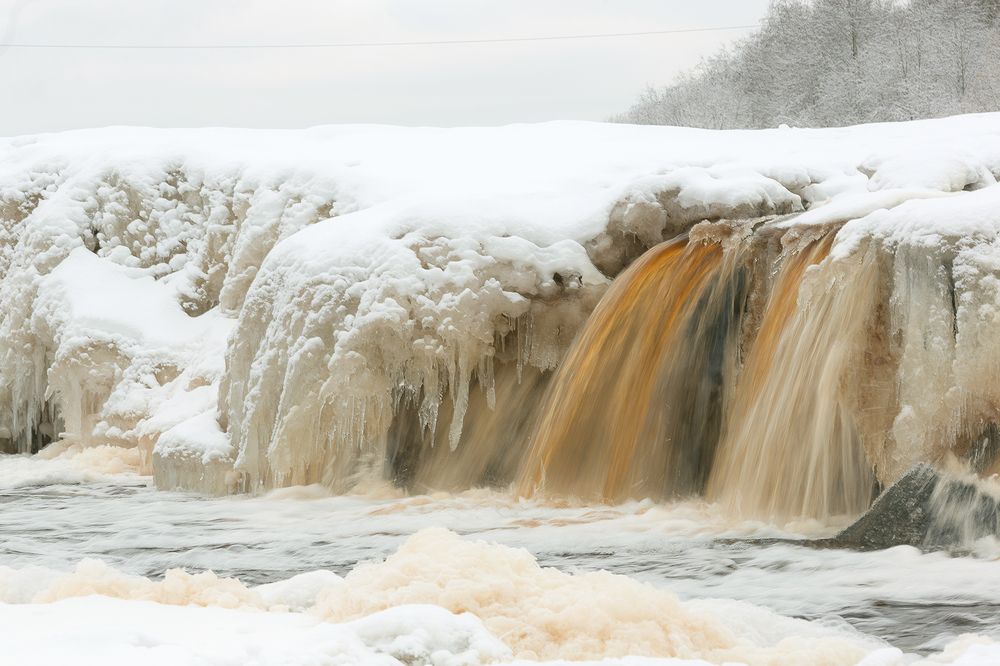 Photograph by Чистякова Валерия