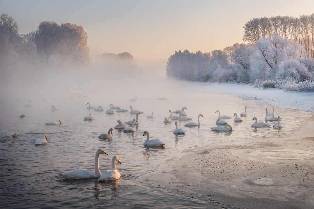 Photograph by Рубан Алена