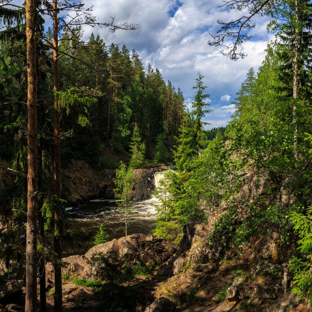 Фотография автора Александр Стоялов