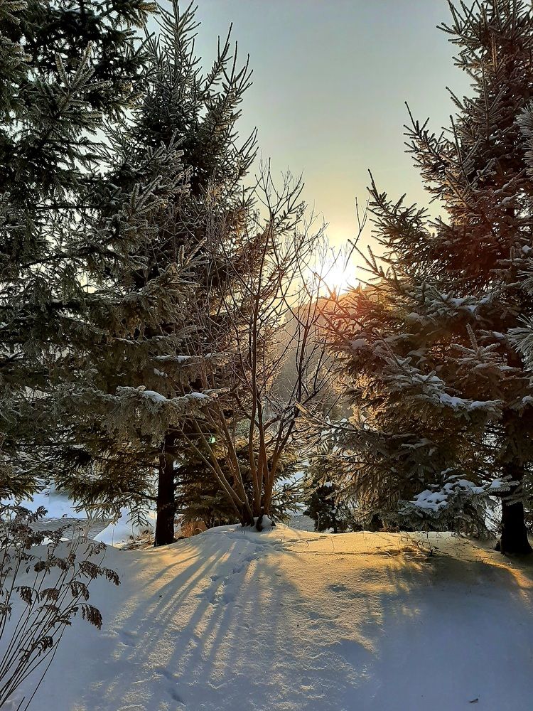 Photograph by Наталия Смирнова