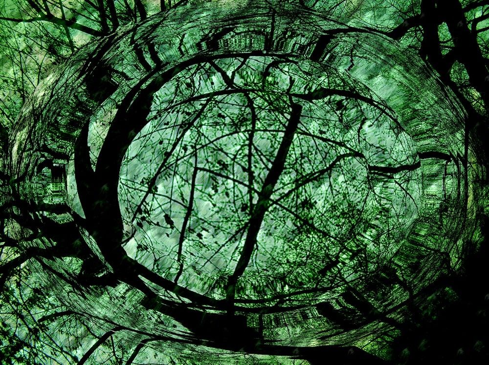 Photograph by László Horváth