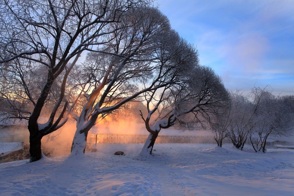 Photograph by 