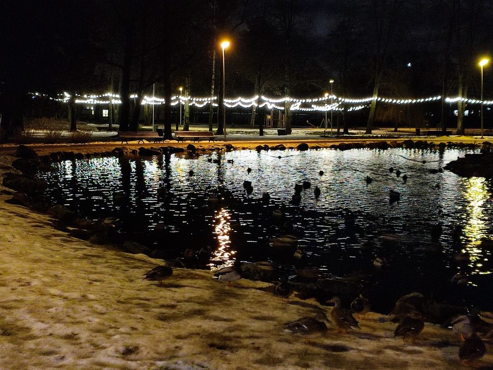 Photograph by Viktors Giršsons