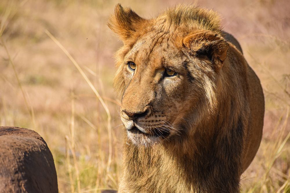 Photograph by Kriti Aggarwal