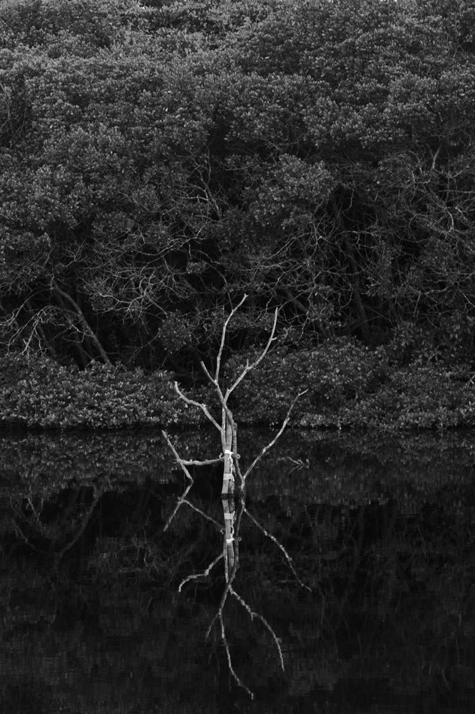 Фотография автора Sasindu Pramuditha