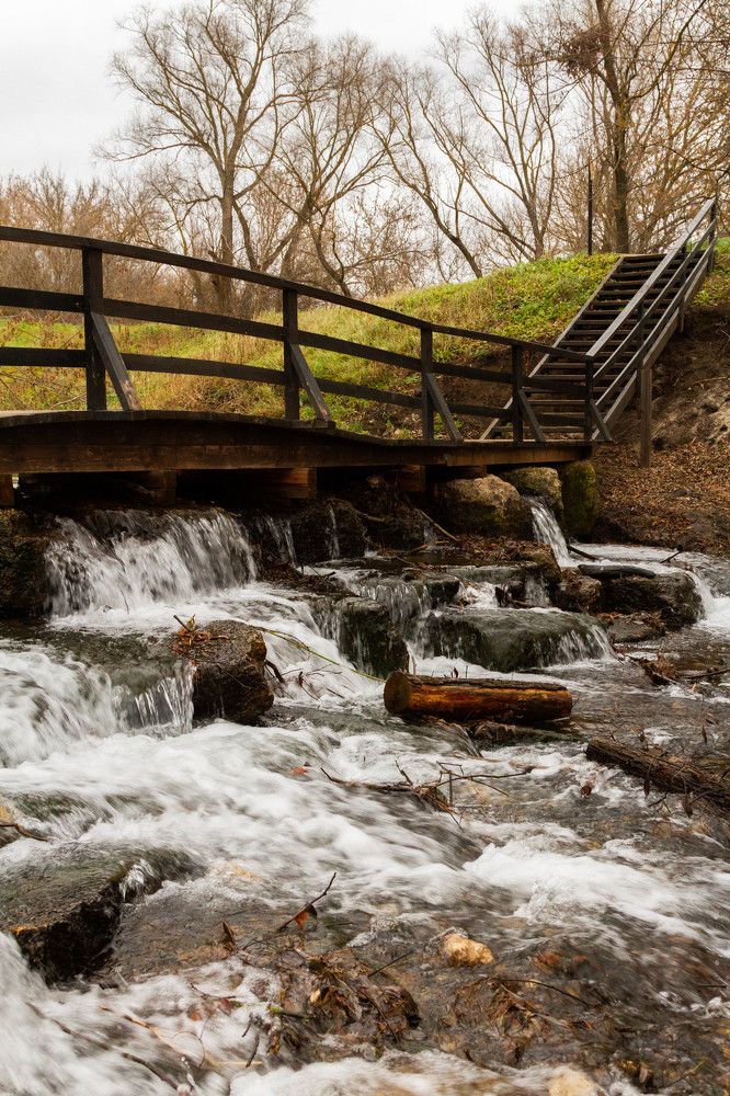 Фотография автора Тимофеев Алексей