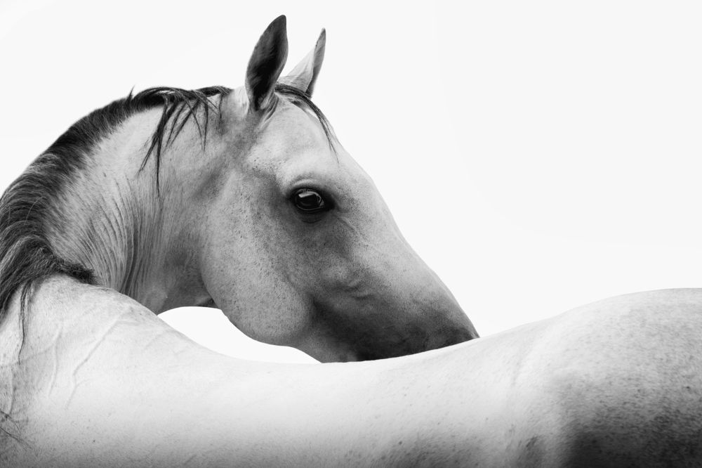 Photograph by Лия Макари