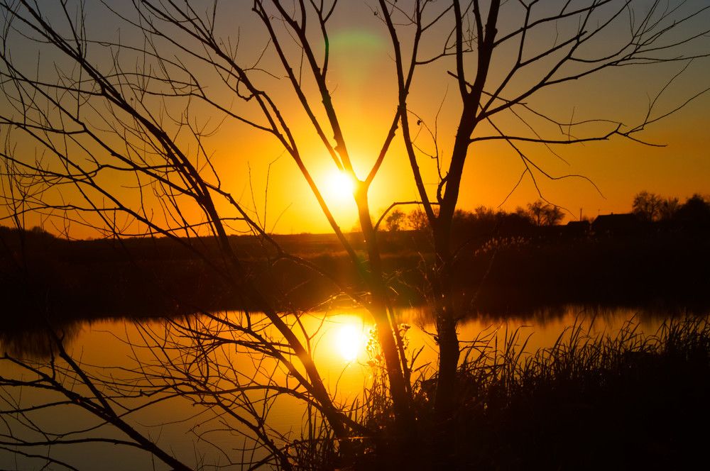 Photograph by Ольга Новикова