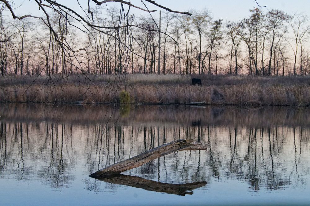 Photograph by Ольга Новикова