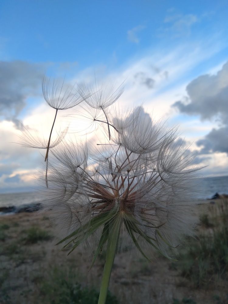 Photograph by Ольга Калинчук