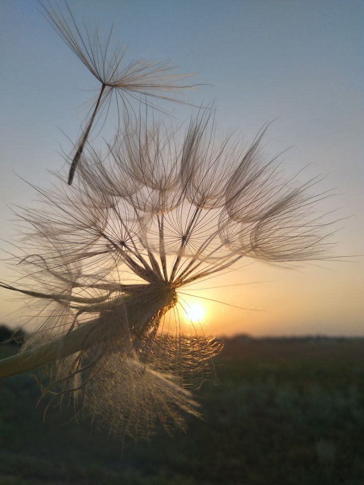 Photograph by Ольга Калинчук