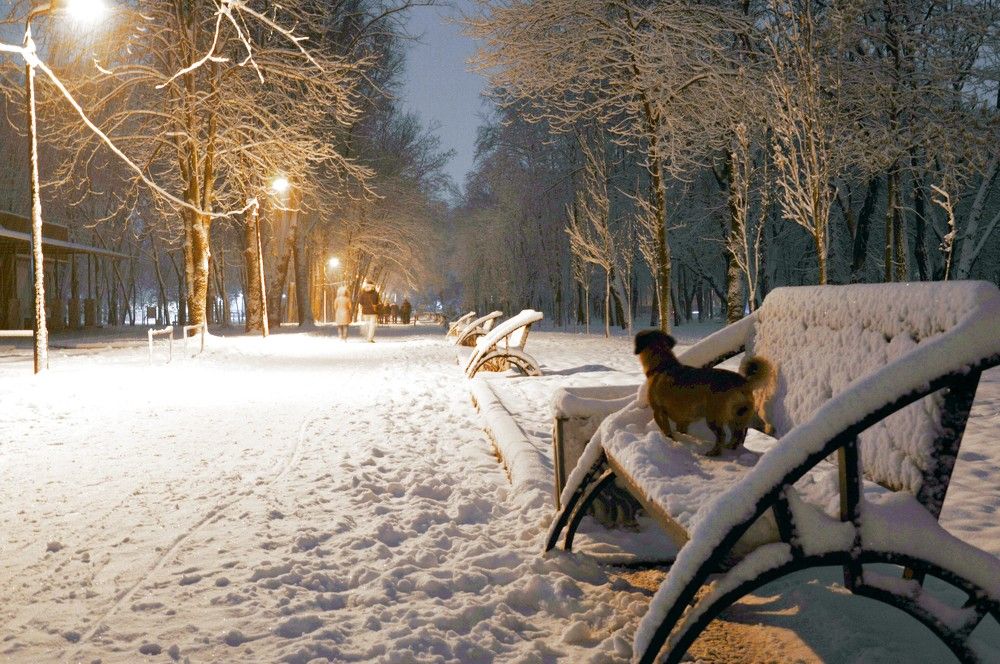 Photograph by Ольга Шевцова