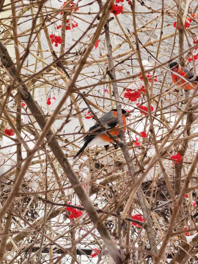 Photograph by Виктория